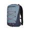 Altmont Active Lightweight Compact Backpack-611121