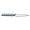 Swiss Modern Paring Knife - 6.9006.10W21