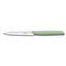 Swiss Modern Paring Knife-6.9006.1042