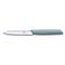 Swiss Modern Paring Knife-6.9006.10W21