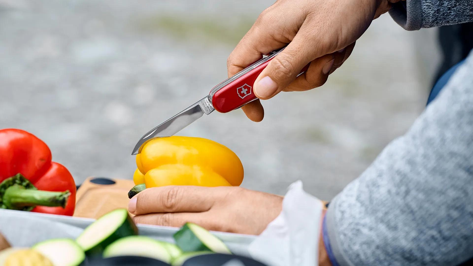 Victorinox Outdoor and Sports Knives