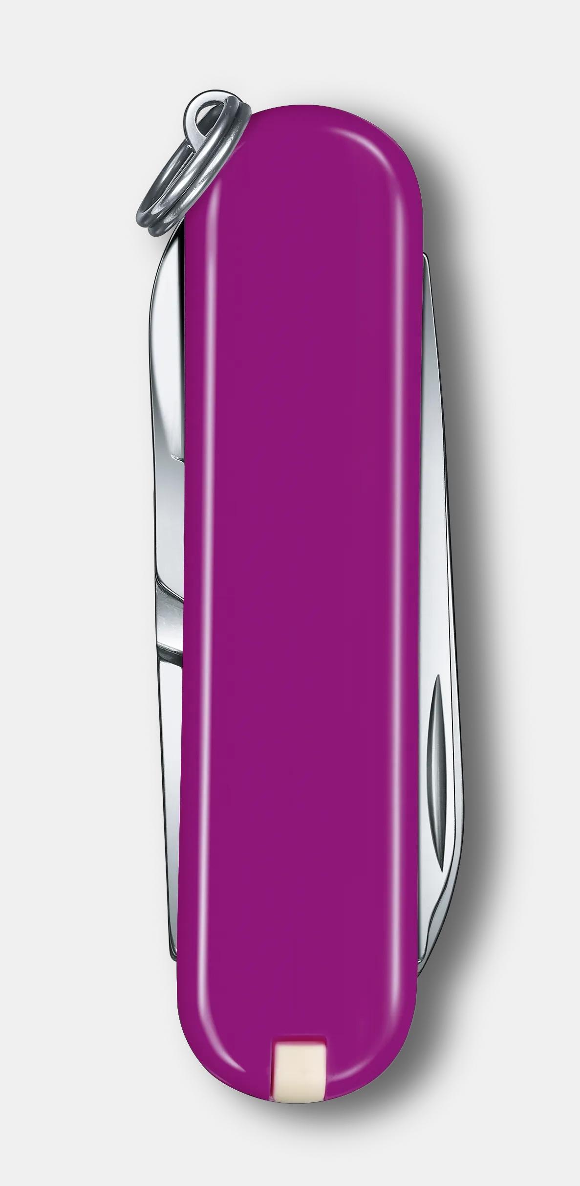 Victorinox クラシック SD Tasty Grape - 0.6223.52G