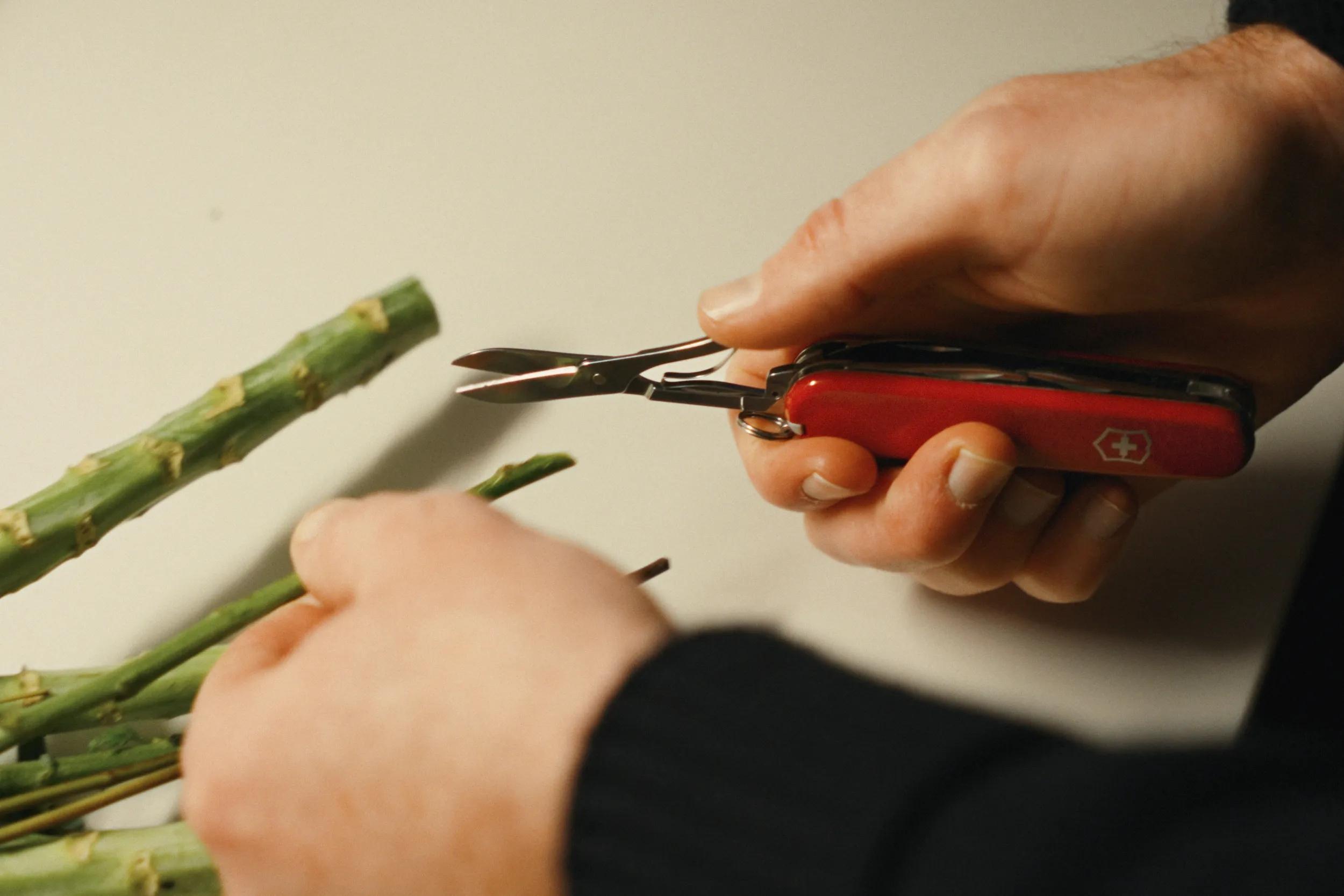 일상용 Swiss Army Knife