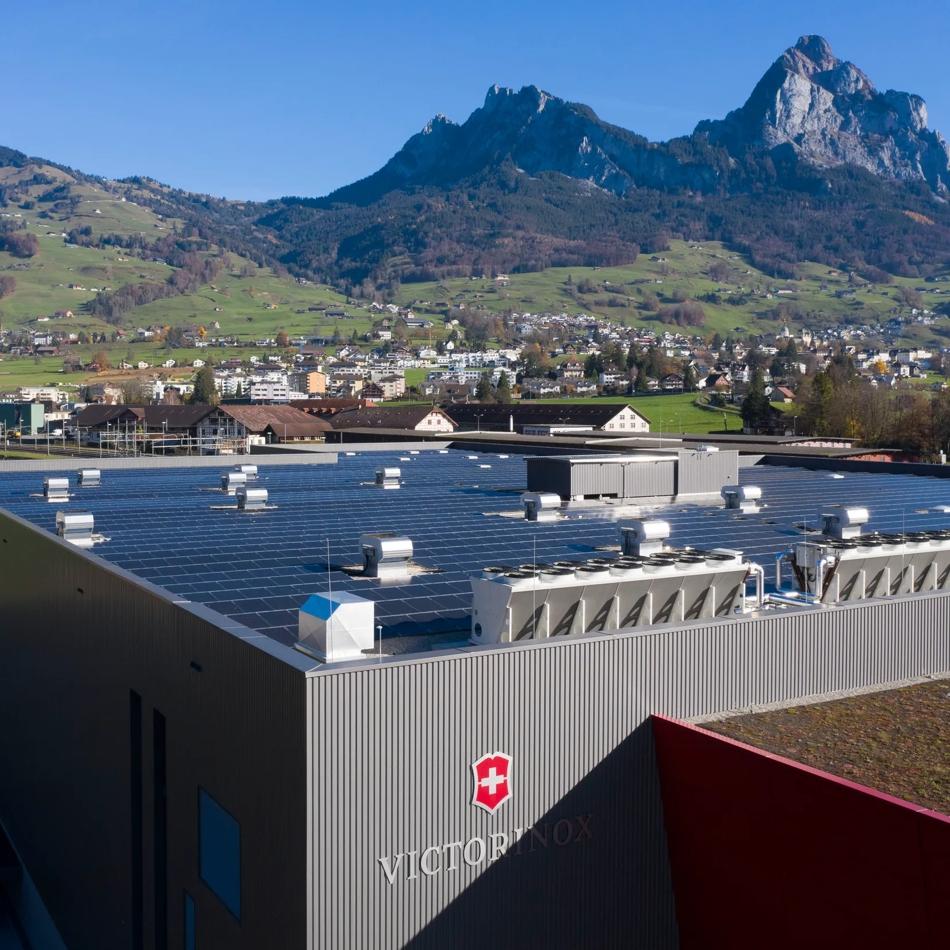 Our History 2017 - 2