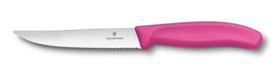 Victorinox Swiss Classic Gourmet Steak Knife, 12 cm in Green