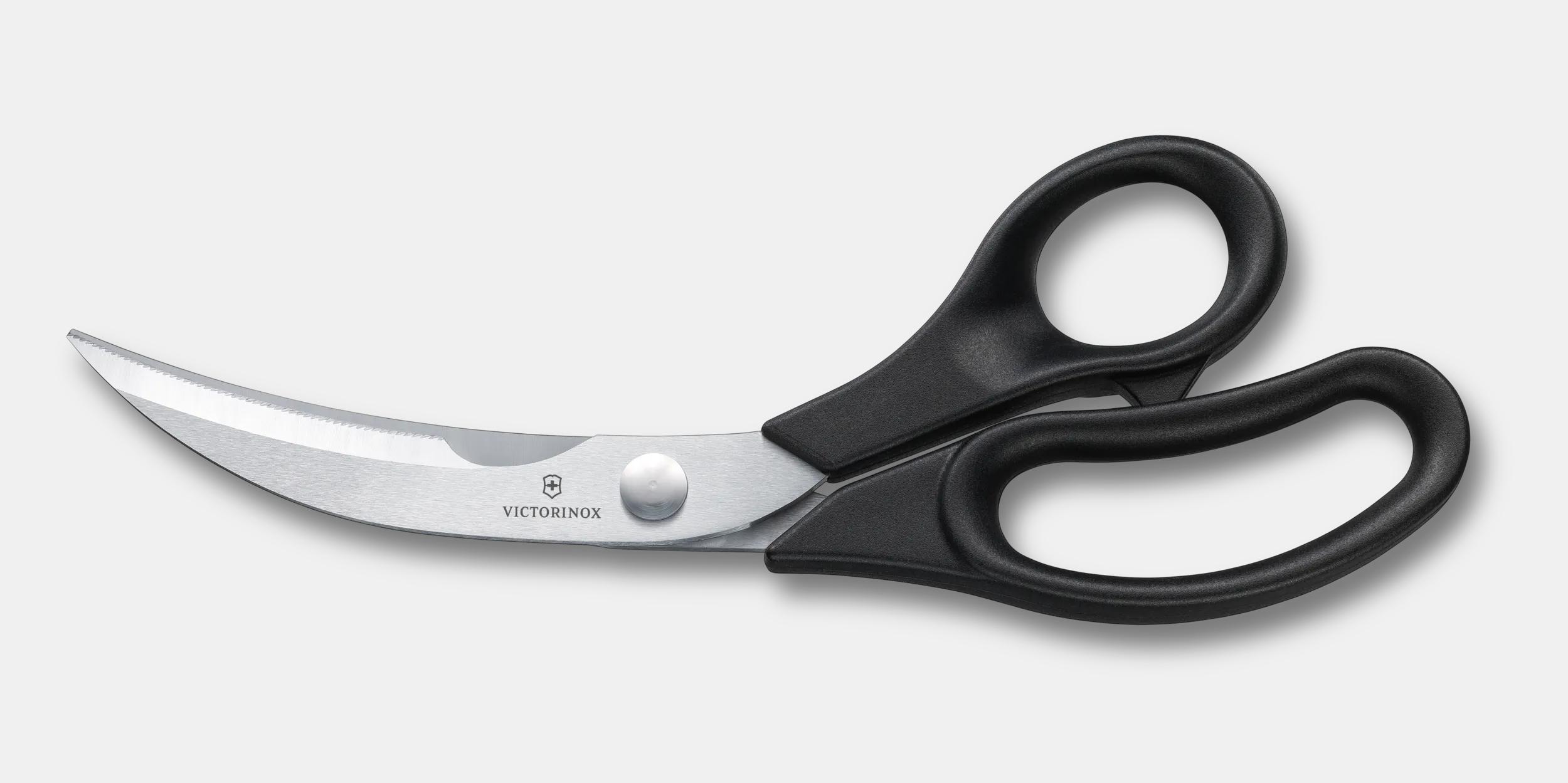 Poultry and Seafood Shears - 7.6342