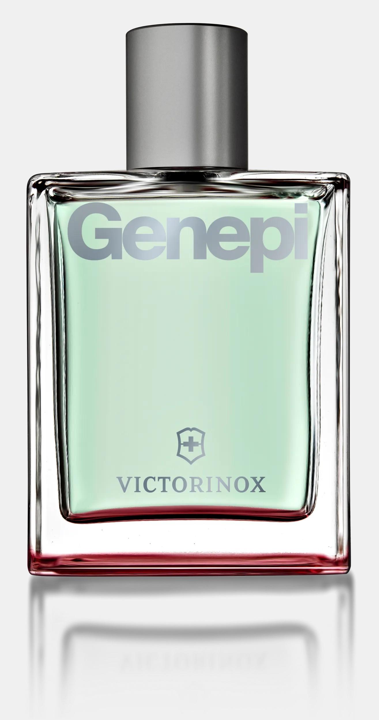 Genepi - V0000894