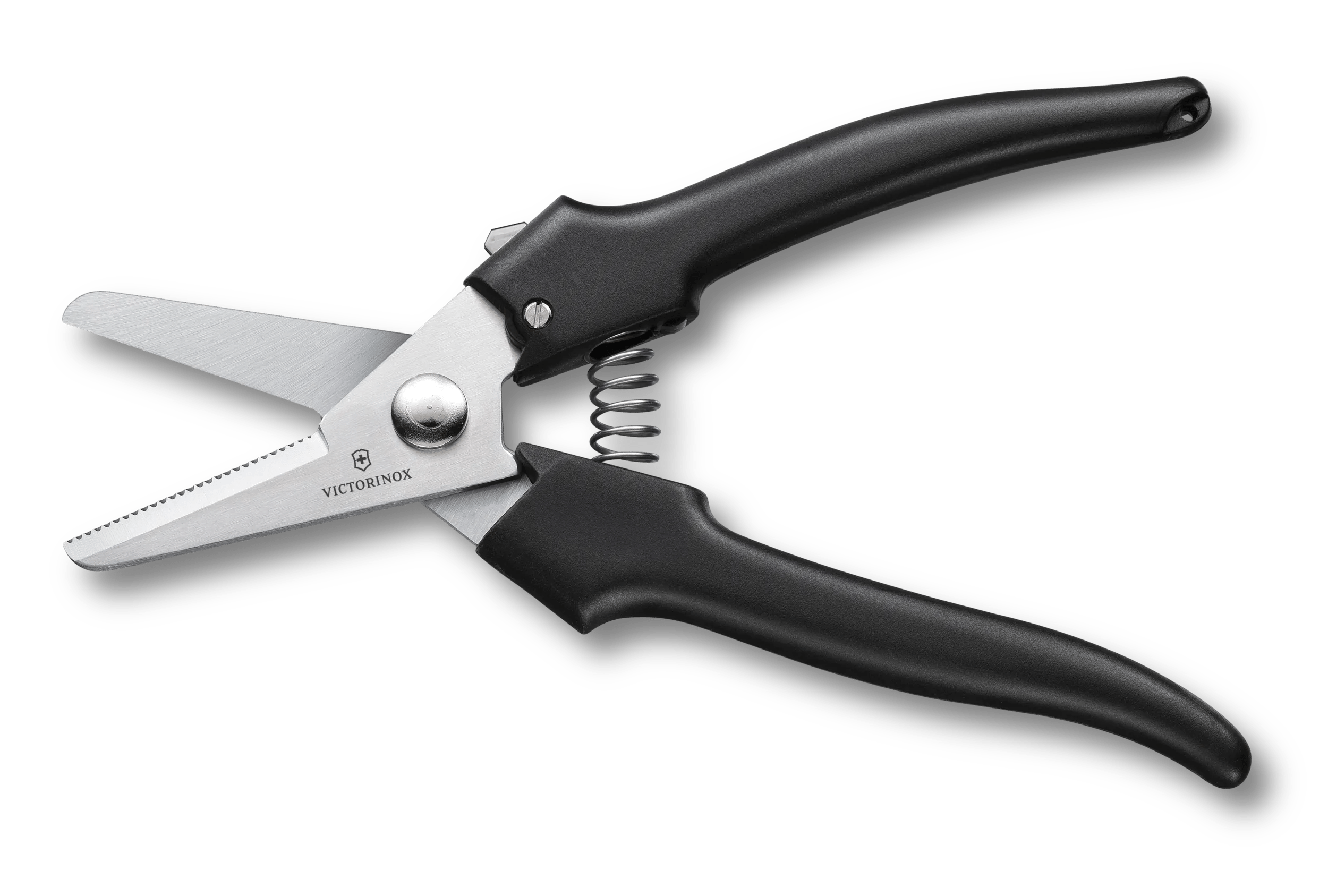 Victorinox スタンダード　四点 Amazon | VICTORINOX(ビクトリノックス) スパルタンライト