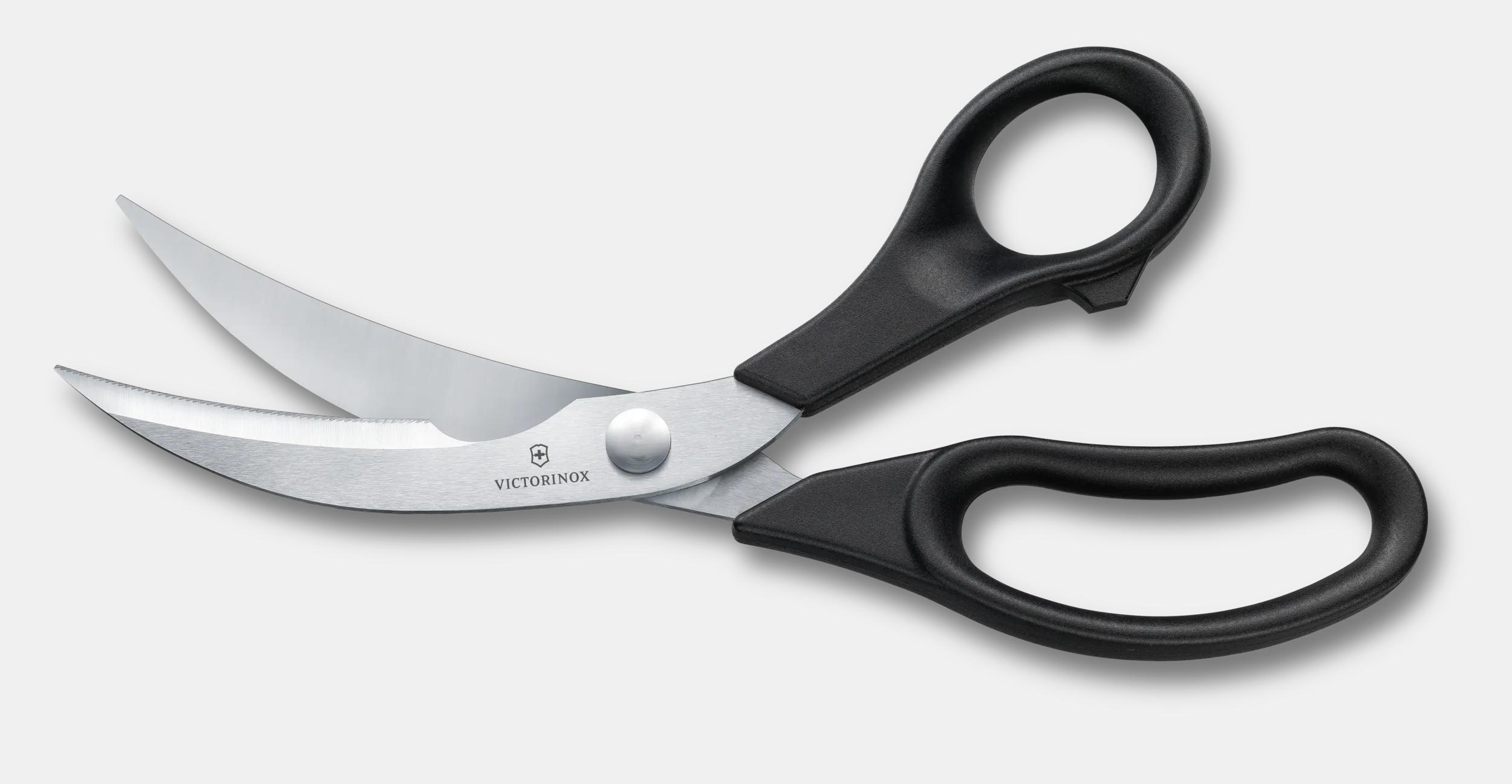 Poultry and Seafood Shears - 7.6342
