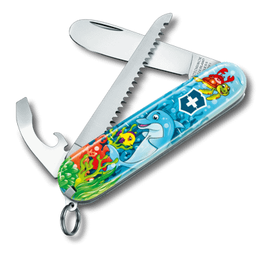 Gourde Trekking Inox Victorinox C30 – Flasque Robuste Pour Randonnée