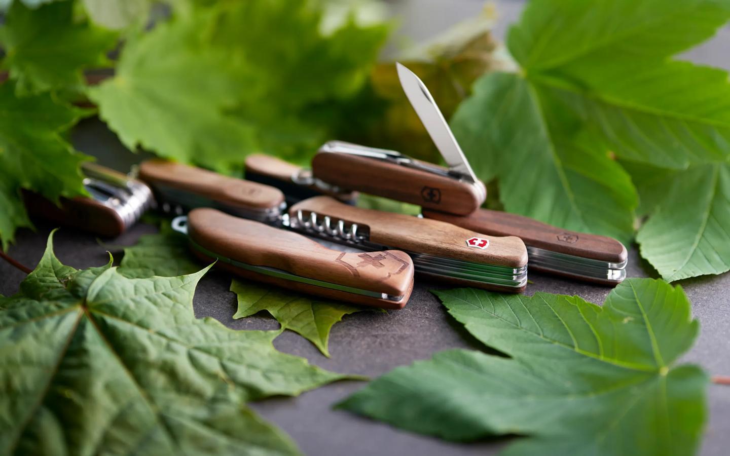 ウッド コレクション | ビクトリノックス・ジャパン