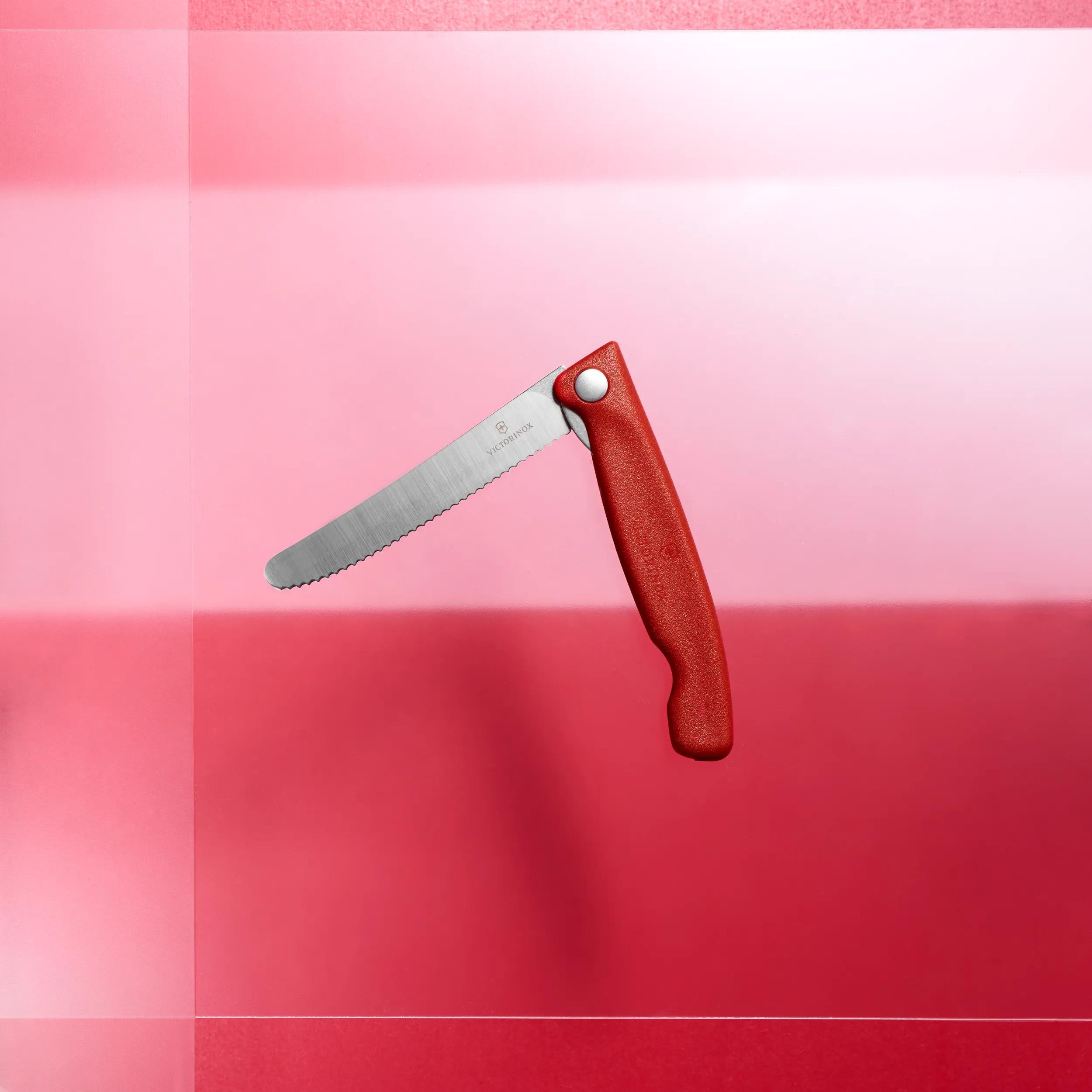 本場スイスで購入ラクレットセット＆victrinoxナイフ2本！等　全13点 本場スイスで購入ラクレットセット&スイスアイテム＆victrinoxナイフ2