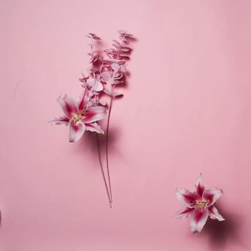 Hero-OCCASIONS