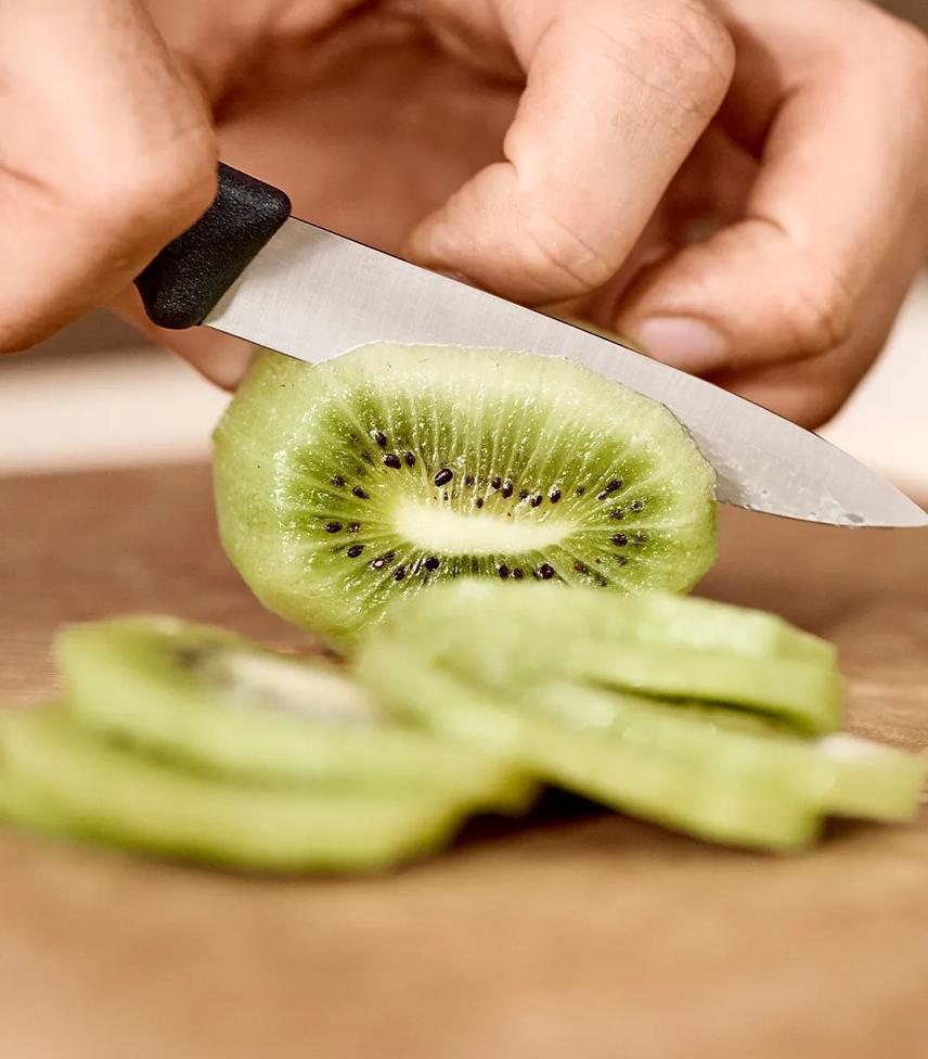 Swiss Classic Paring Knife