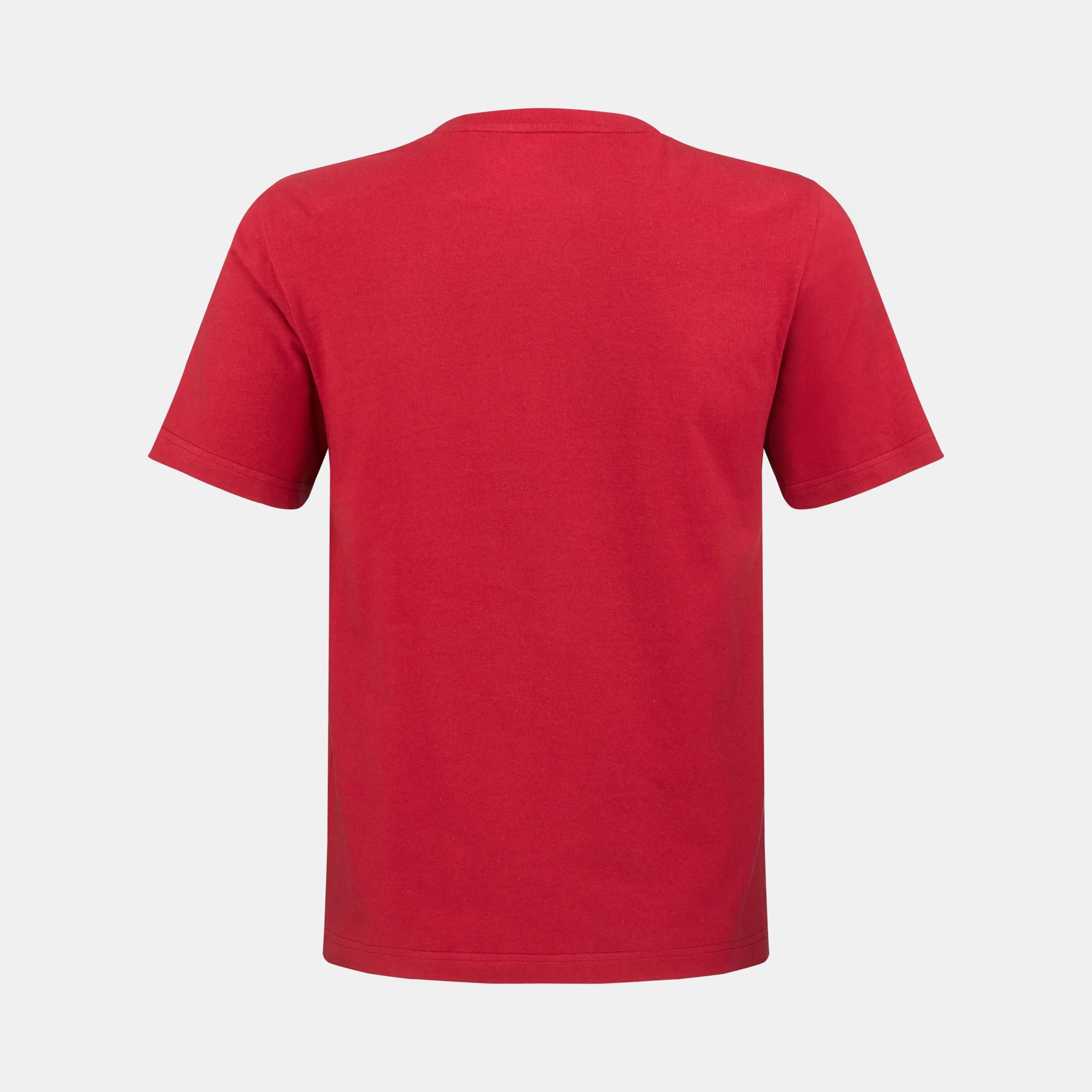 Logo Graphic Tee de la colecci&oacute;n Victorinox Brand - 612464