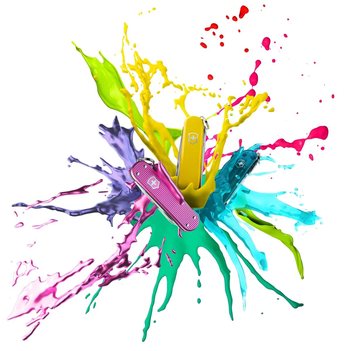 Bring some color into your life